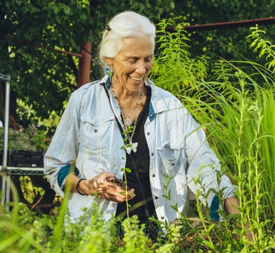 Avalon EcoVillage Image